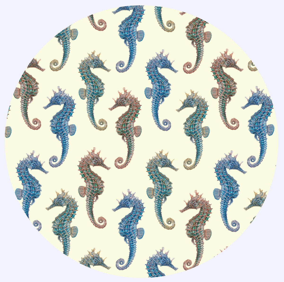 Seashorse Collection