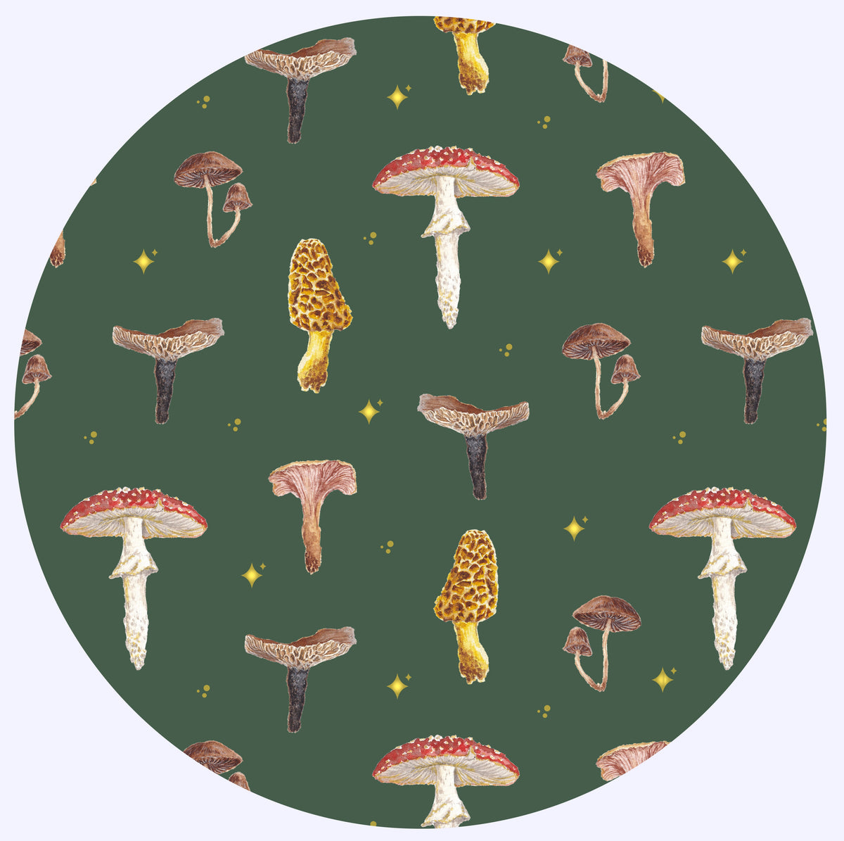 Mushroom Collection