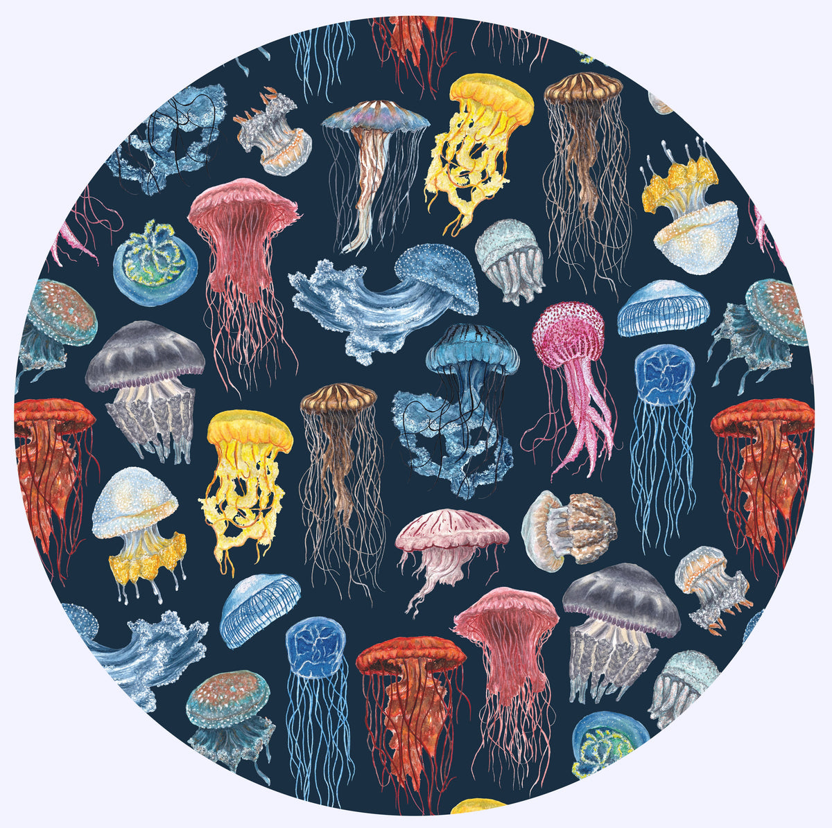 Jellyfish Collection