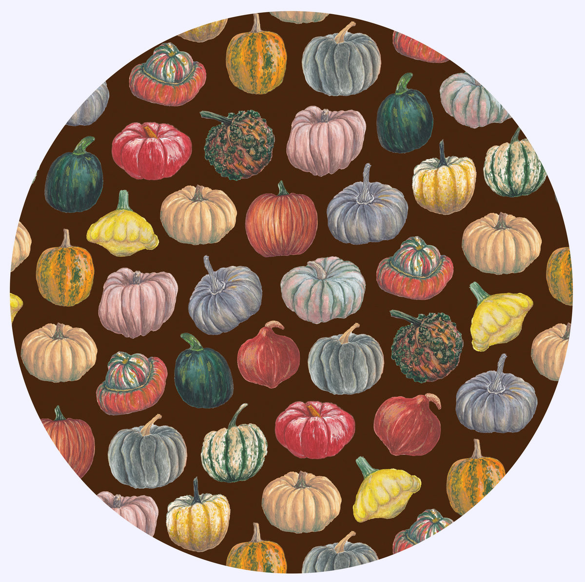 Pumpkin Collection