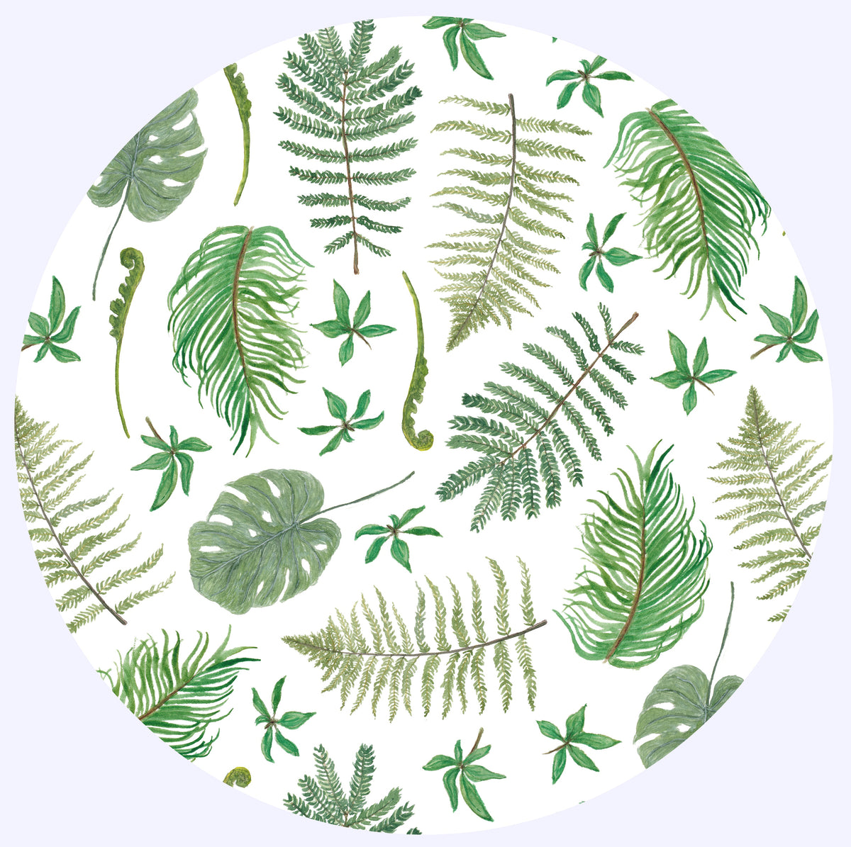 Rainforest Collection