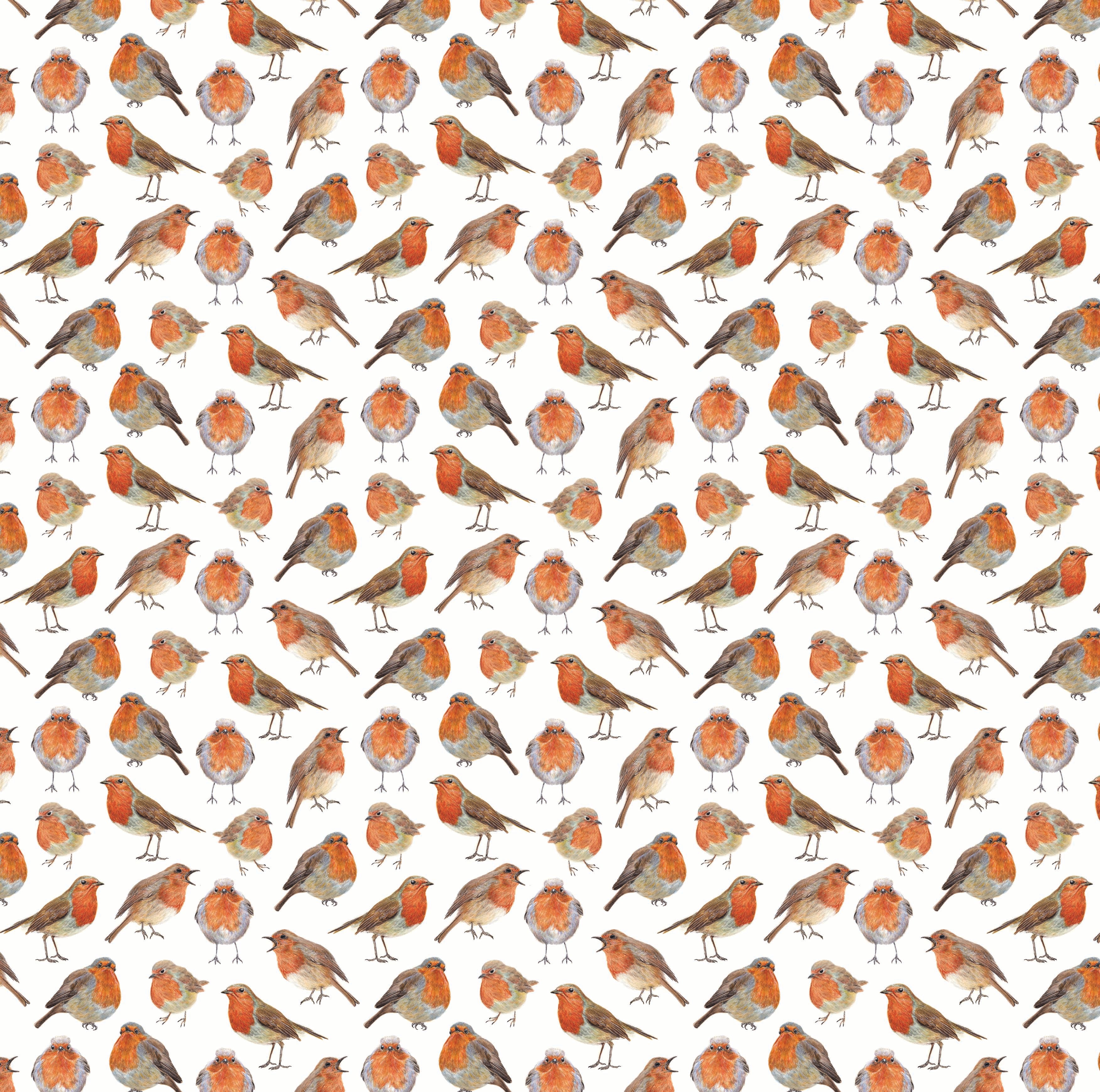 Christmas Robin Gift Wrap and Tag image 2