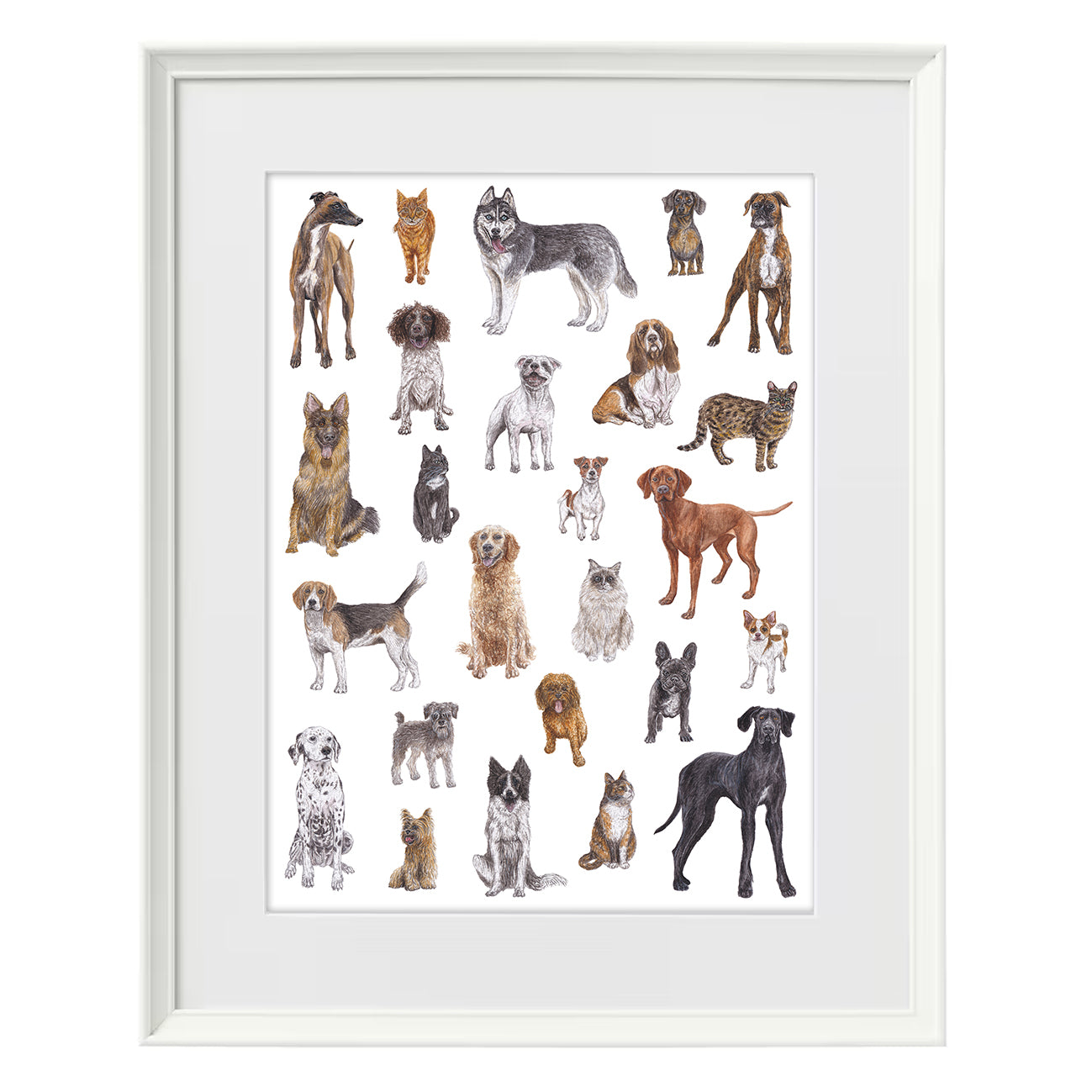 Cats and Dogs A3 Print image 2