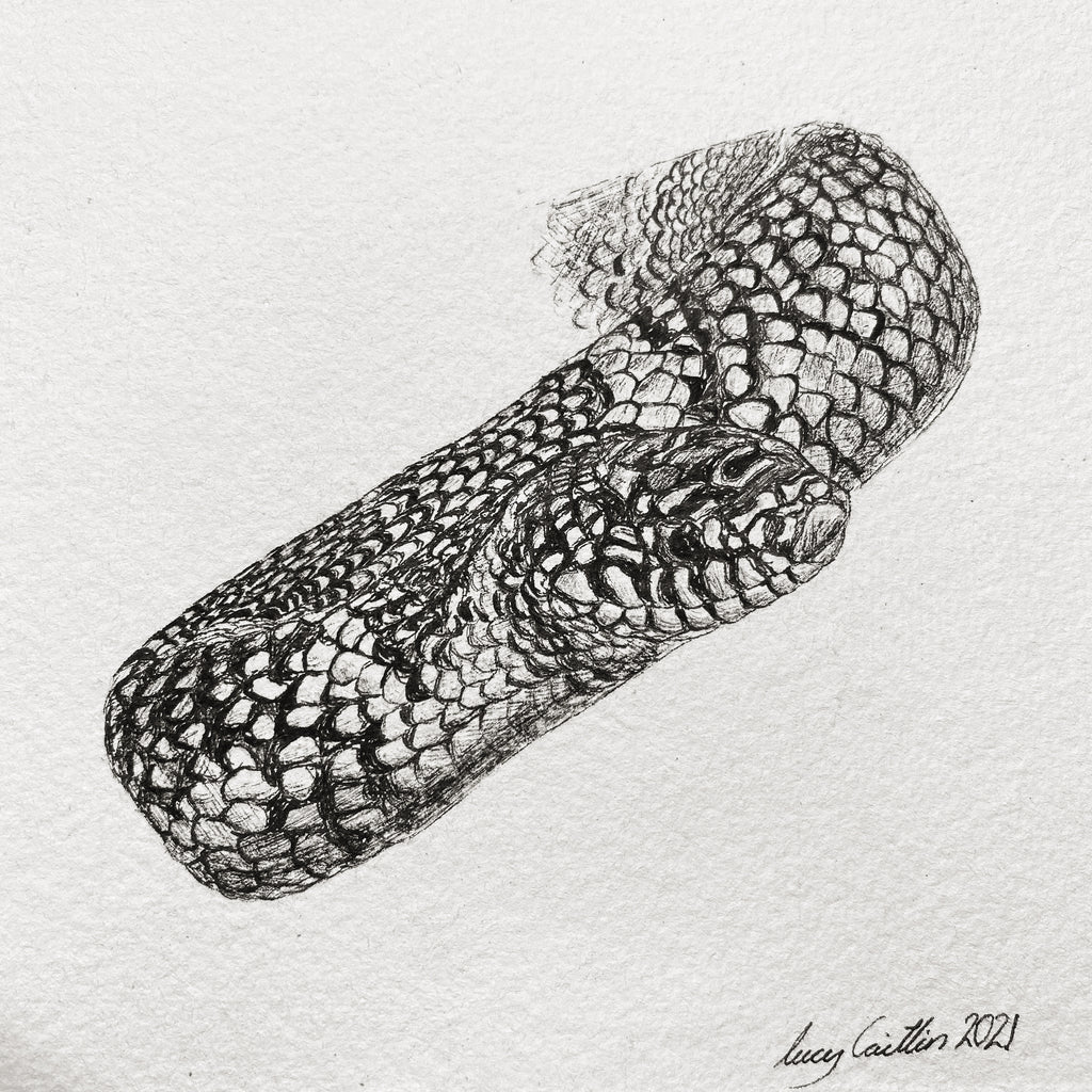 15cm Square Pet Portrait Commission image 3