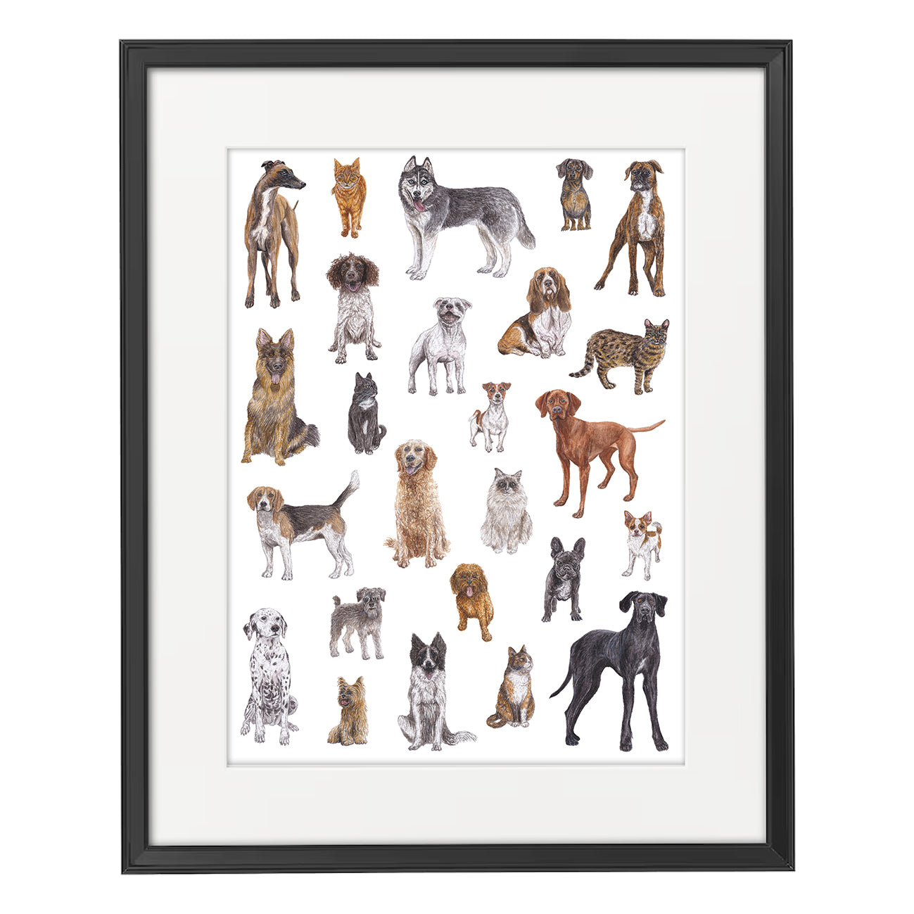 Cats and Dogs A3 Print image 1