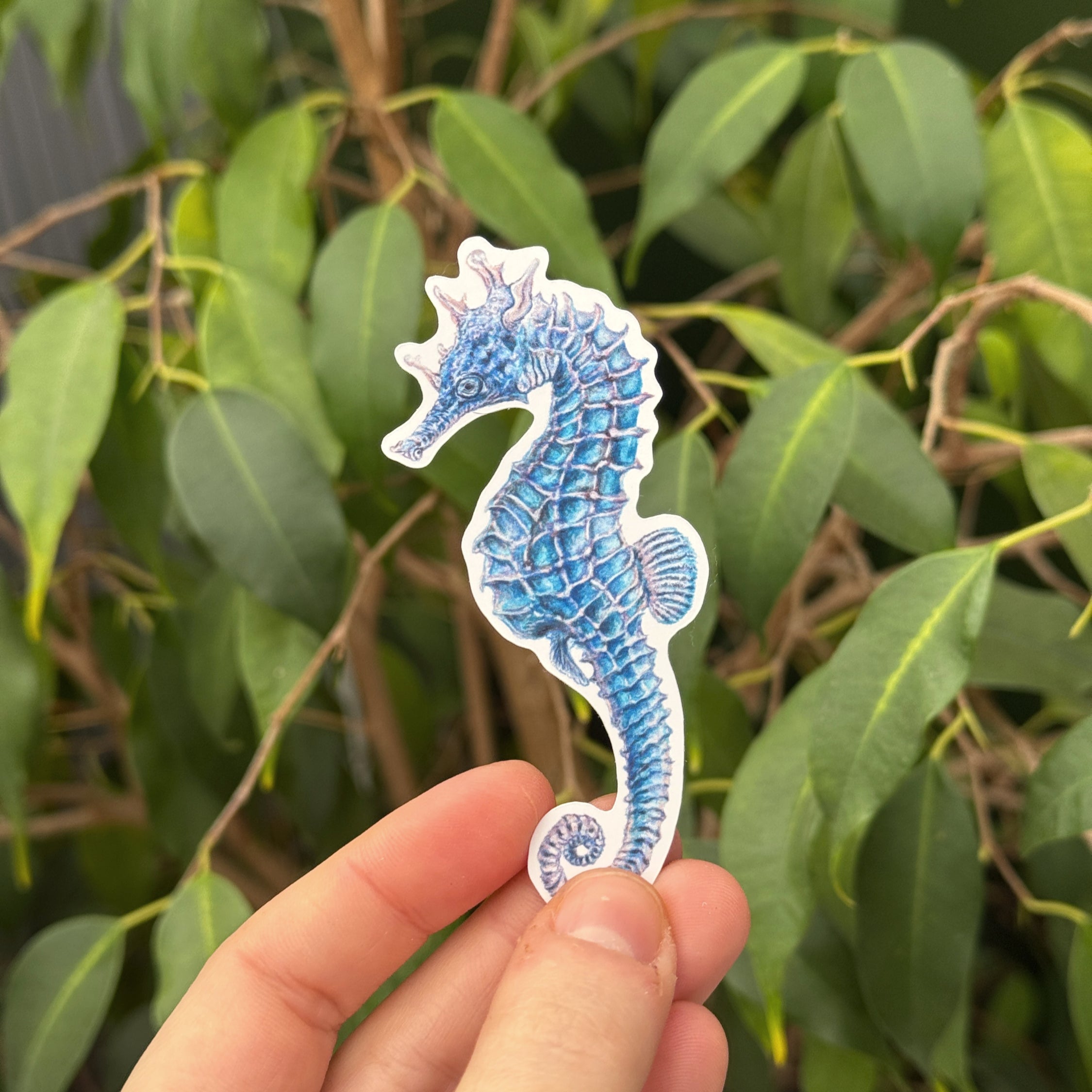 Swimming Seahorses Sticker Pack image 1