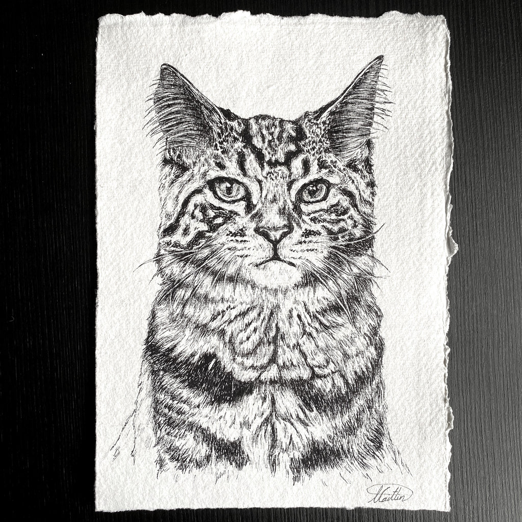 A5 Pet Portrait Commission image 4