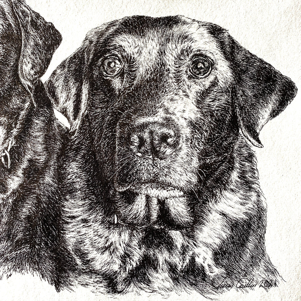 A4  Pet Portrait Commission image 3