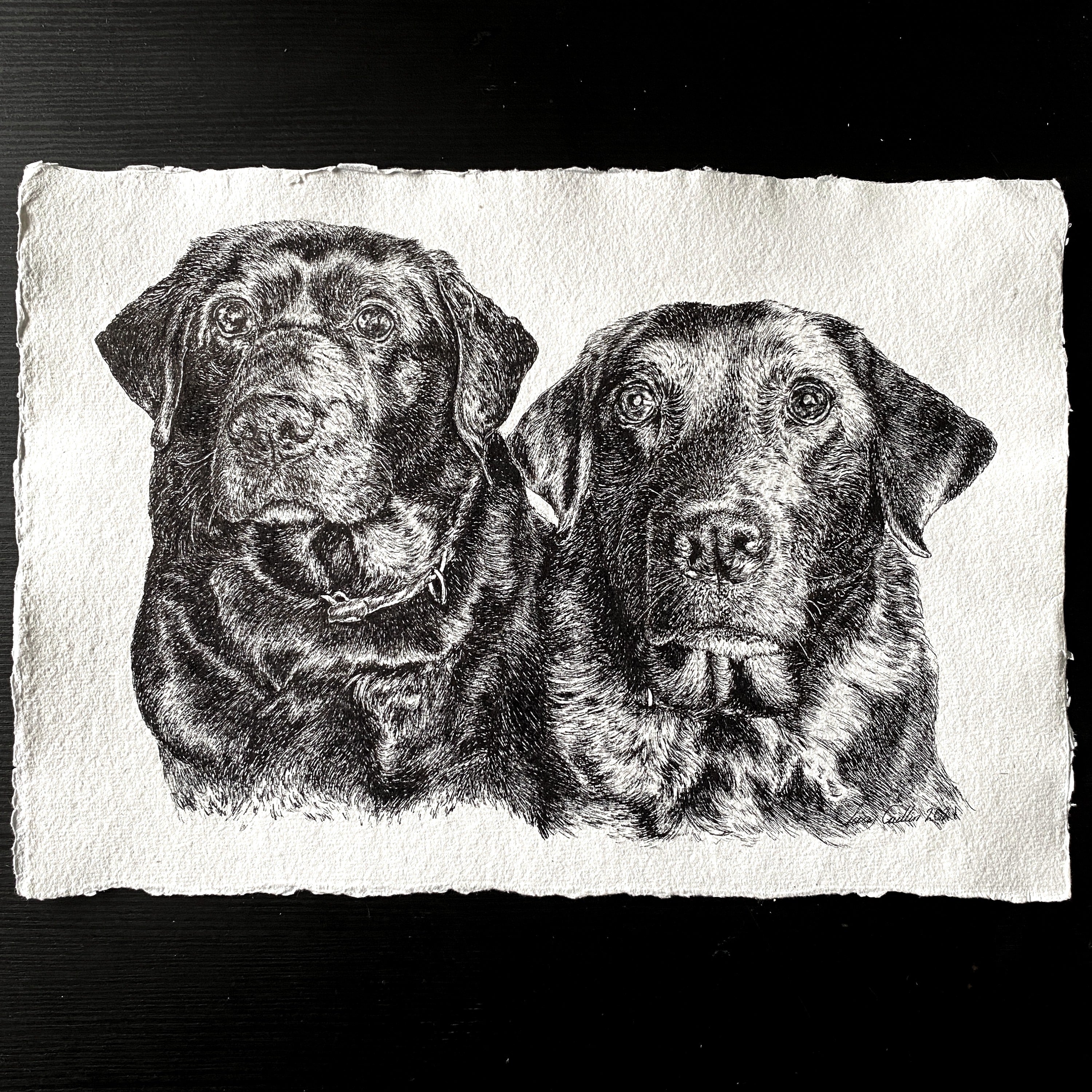 A4  Pet Portrait Commission image 1