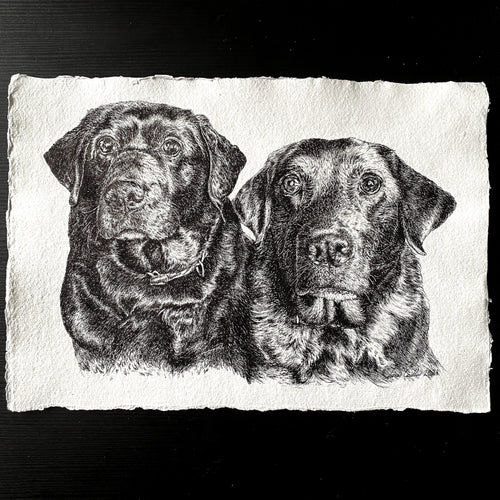 A4  Pet Portrait Commission image 1