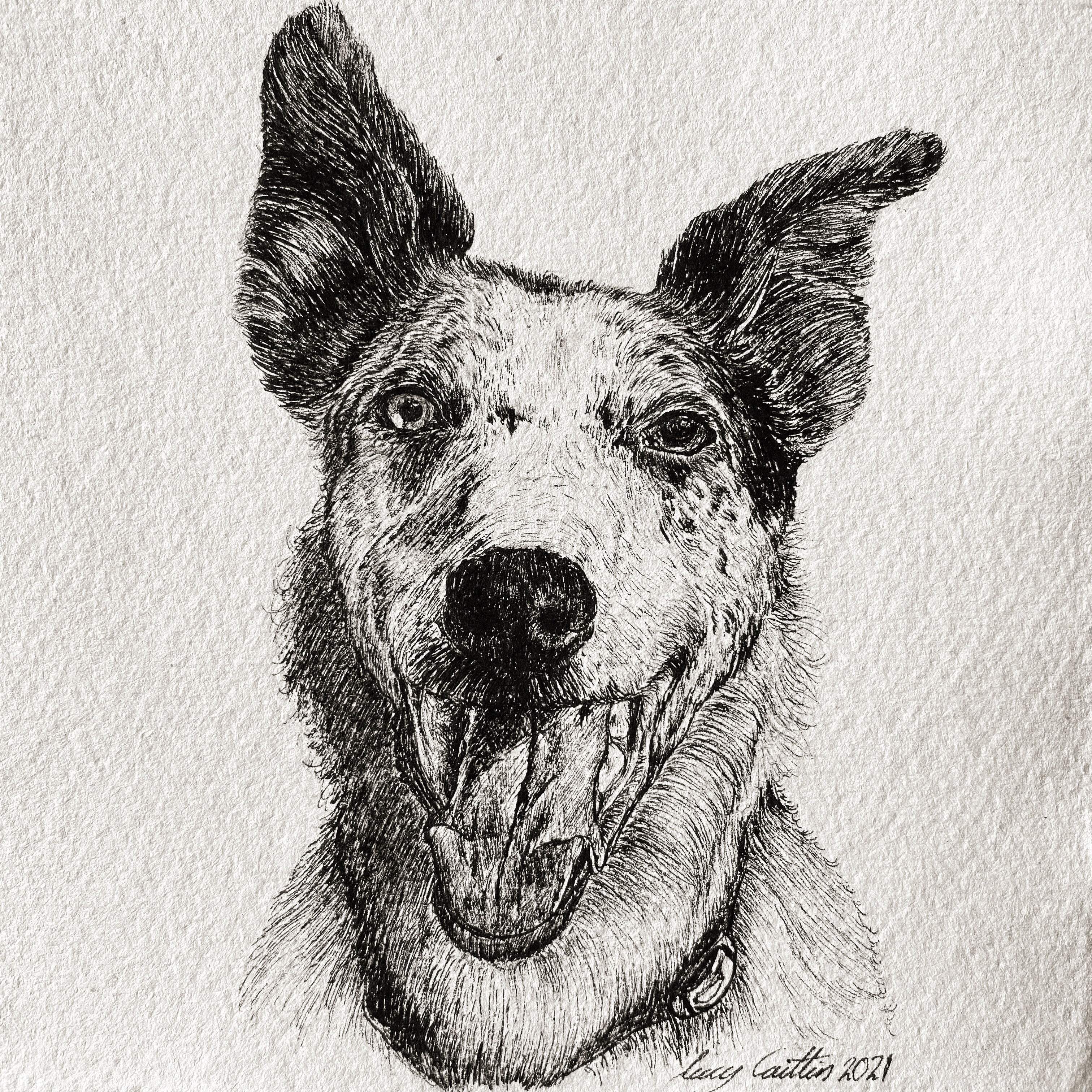 15cm Square Pet Portrait Commission image 7