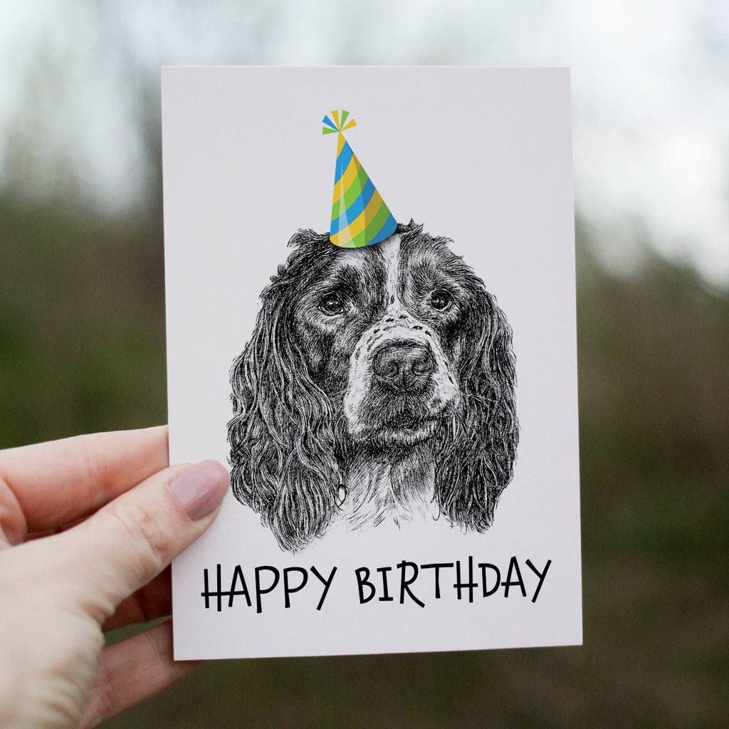 Springer Spaniel (#1) Greetings Card image 0