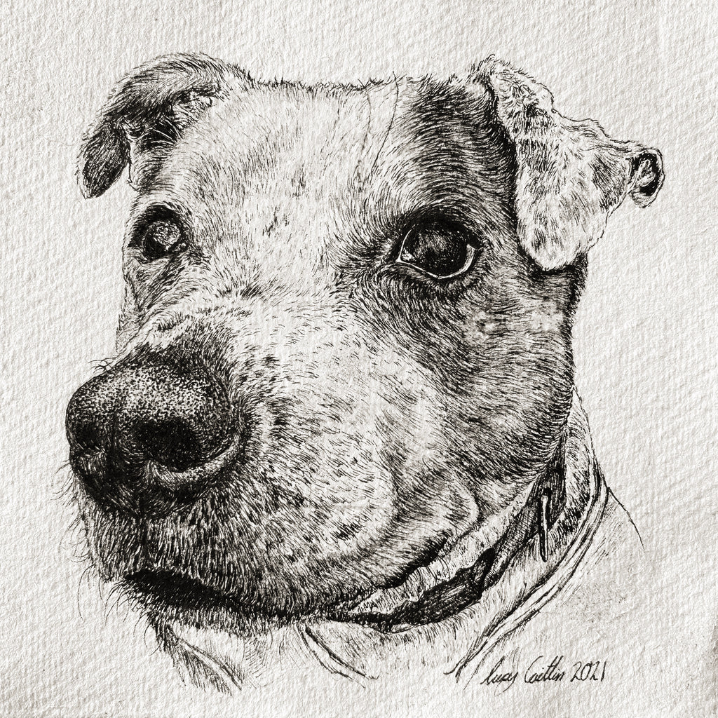 15cm Square Pet Portrait Commission image 11