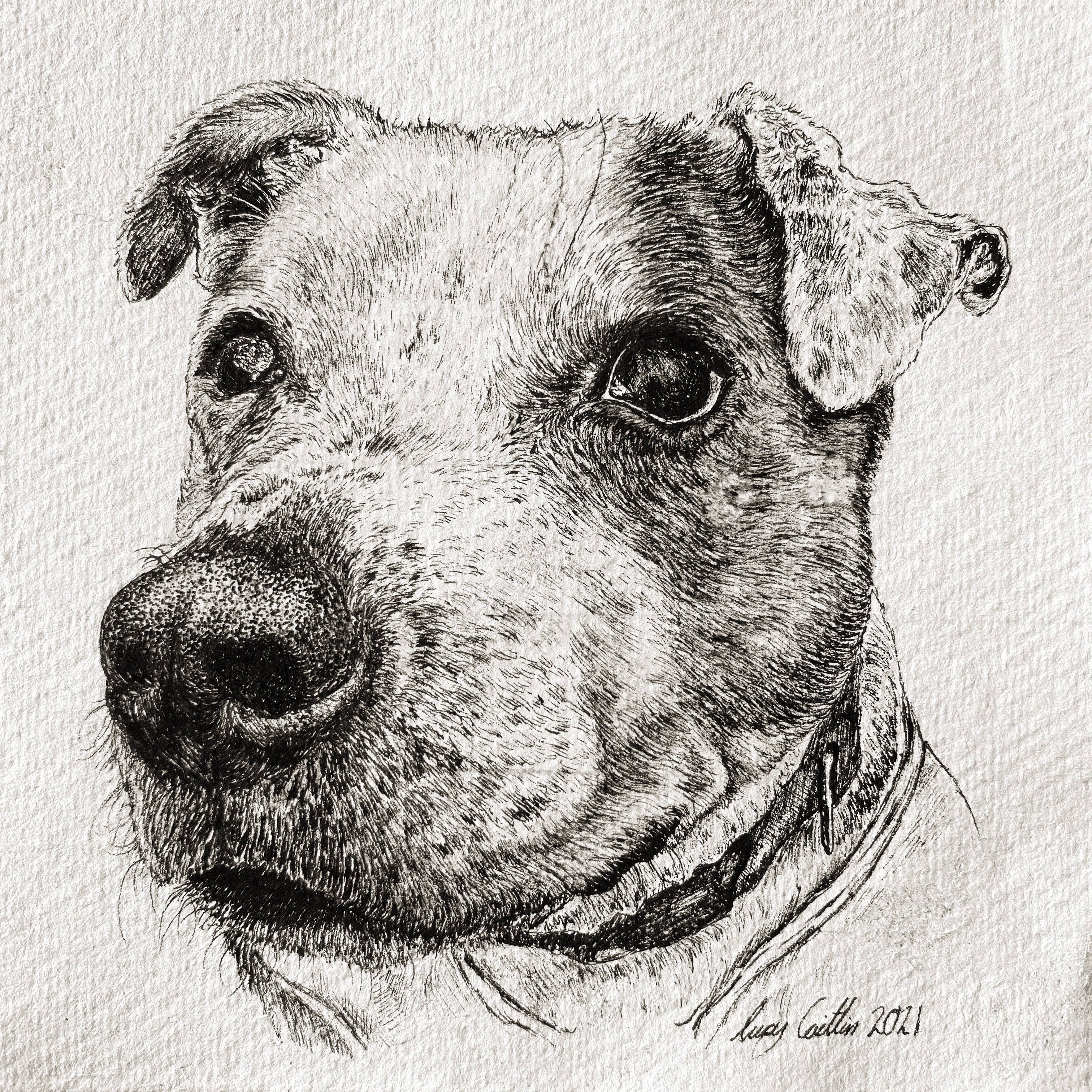 15cm Square Pet Portrait Commission image 11