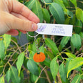 Felted Pumpkin Keyring image 0