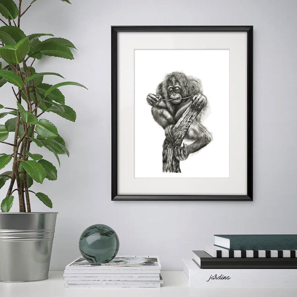 'The Last Branch' - A3 Limited Orangutan Inking Print image 2