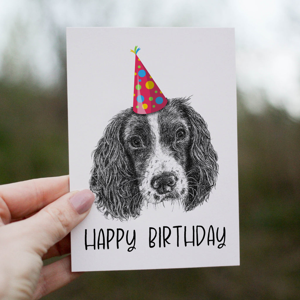Springer Spaniel (#2) Greetings Card image 0