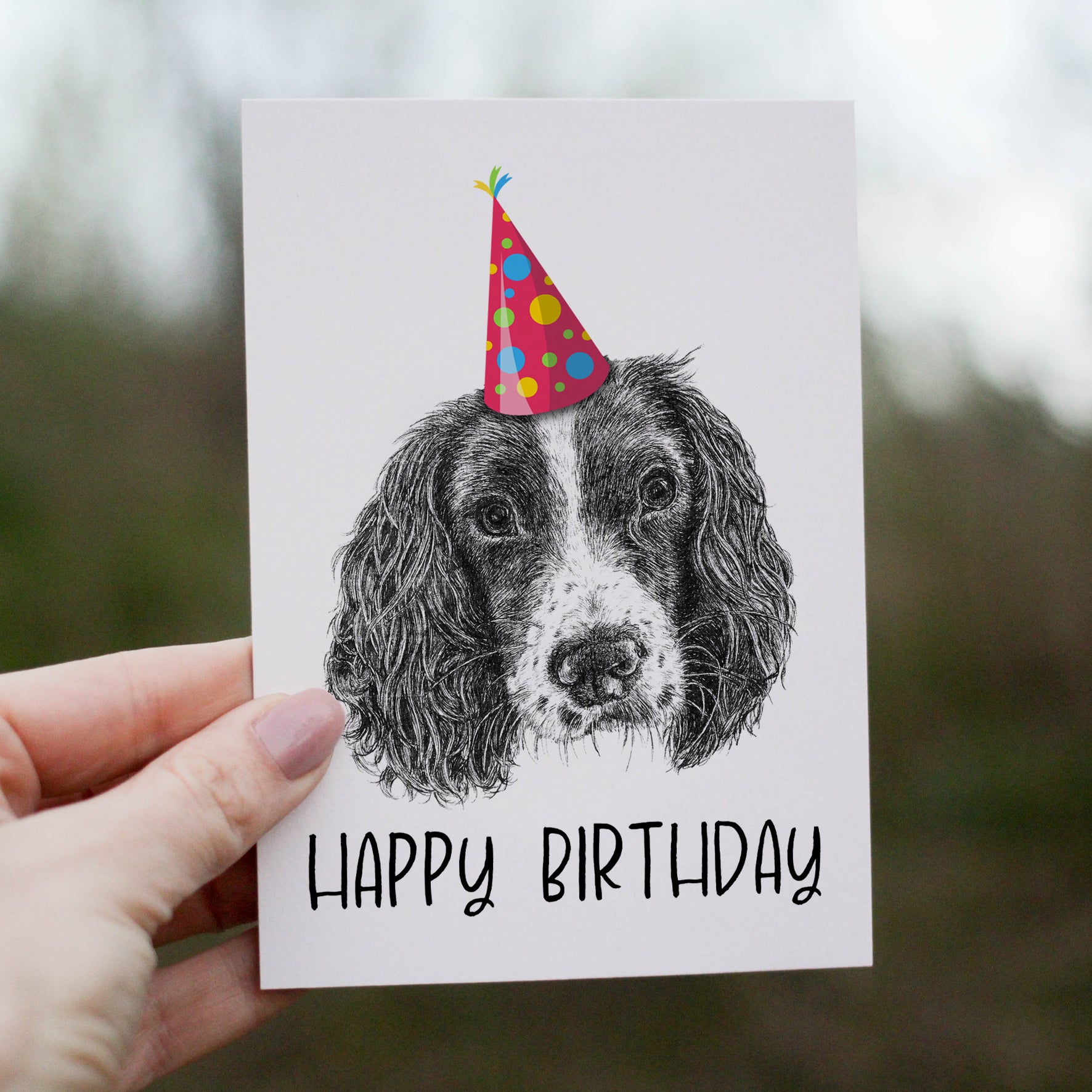Springer Spaniel (#2) Greetings Card image 0