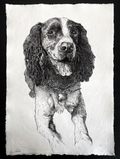 A3  Pet Portrait Commission image 0