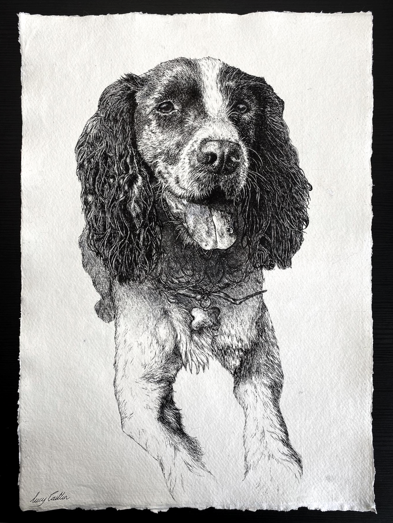 A3  Pet Portrait Commission image 0