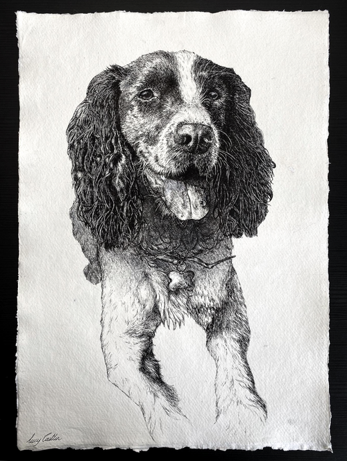 A3  Pet Portrait Commission image 0