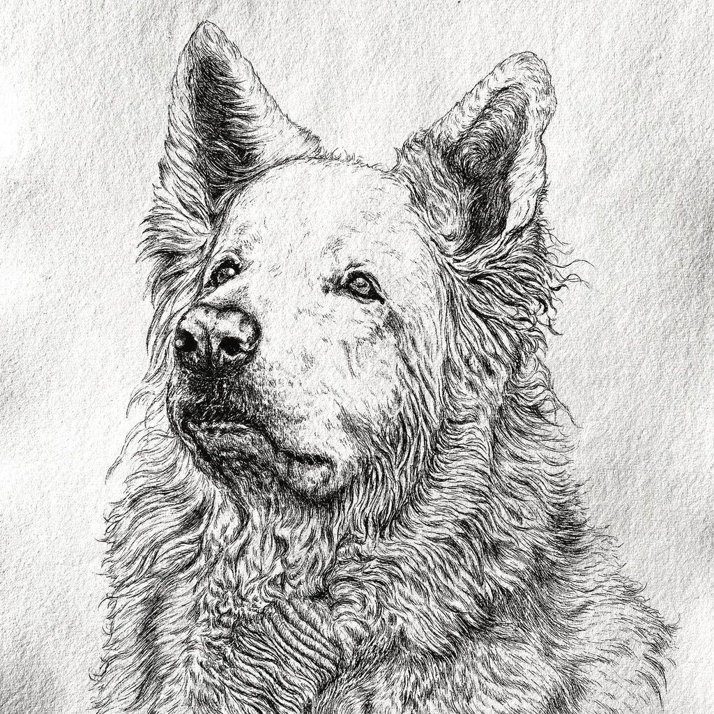 A3  Pet Portrait Commission image 3