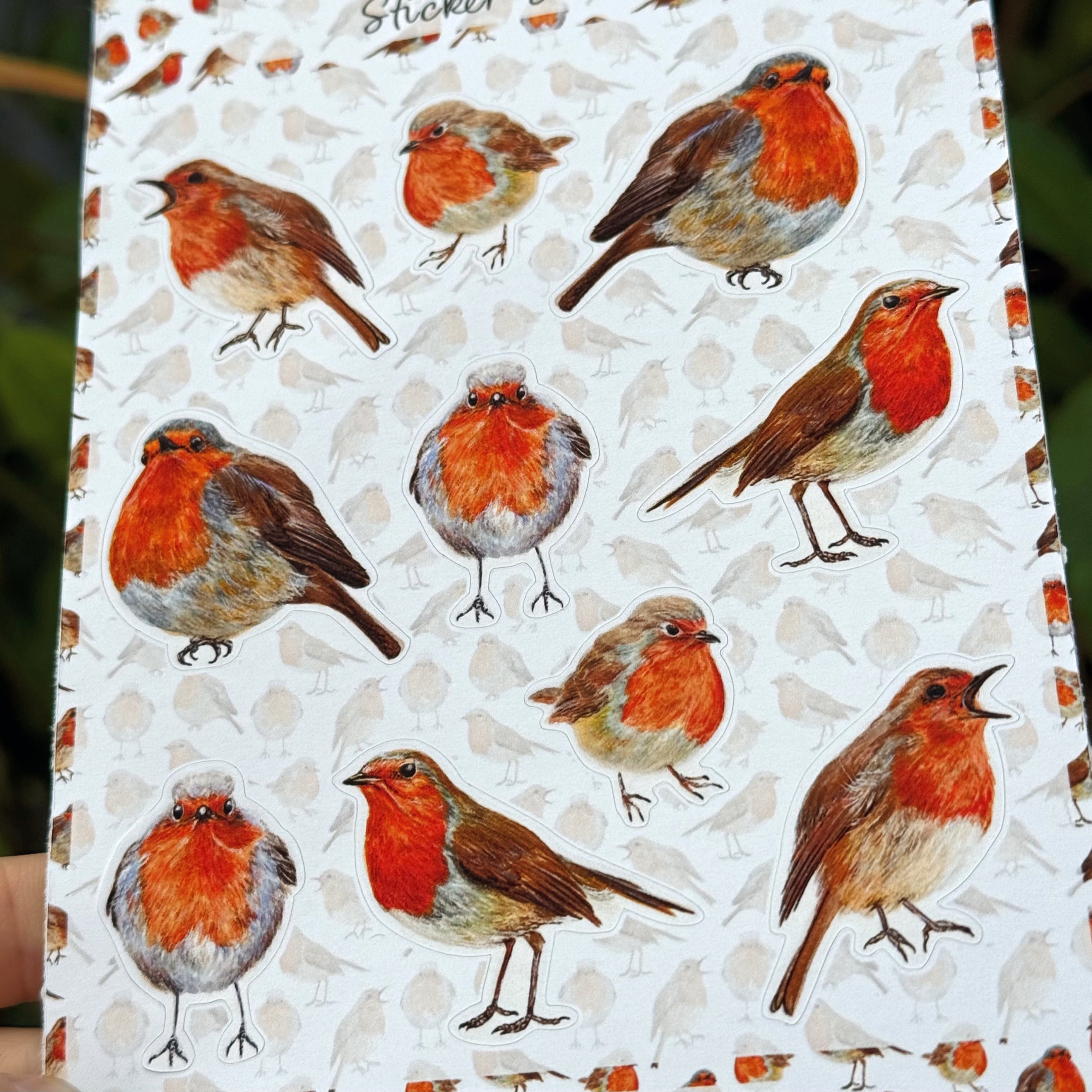 Robin Sticker Sheet image 1