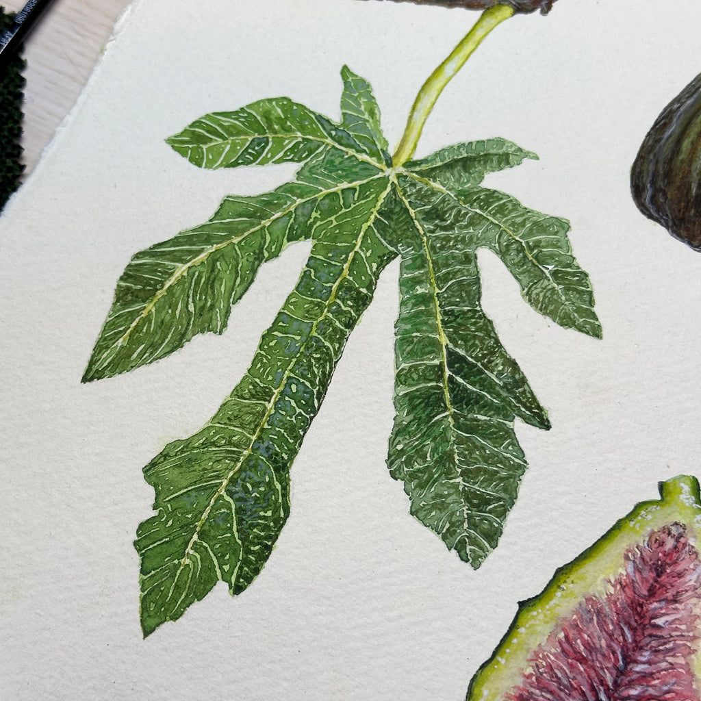 Botanical Painting Commission image 5