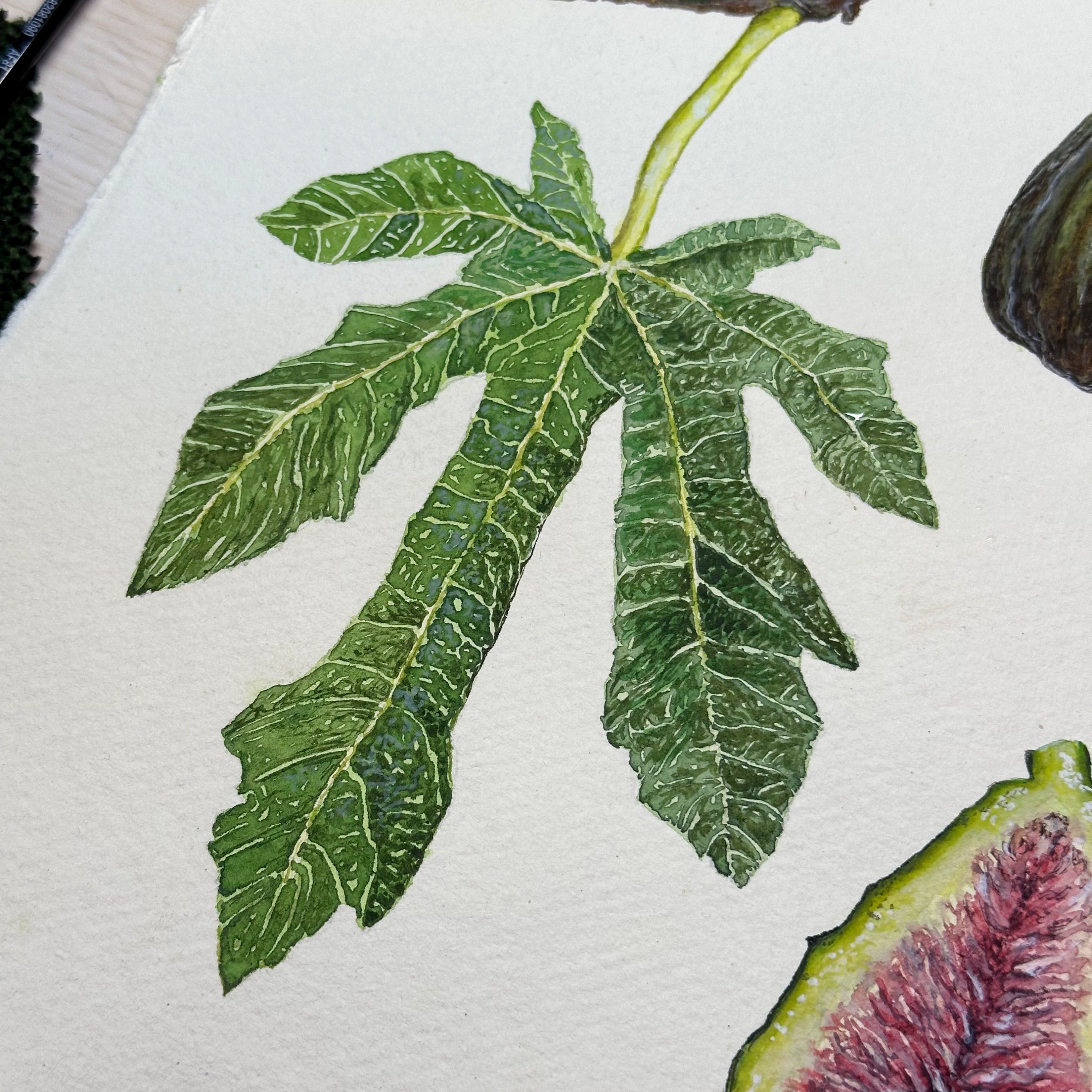 Botanical Painting Commission image 5
