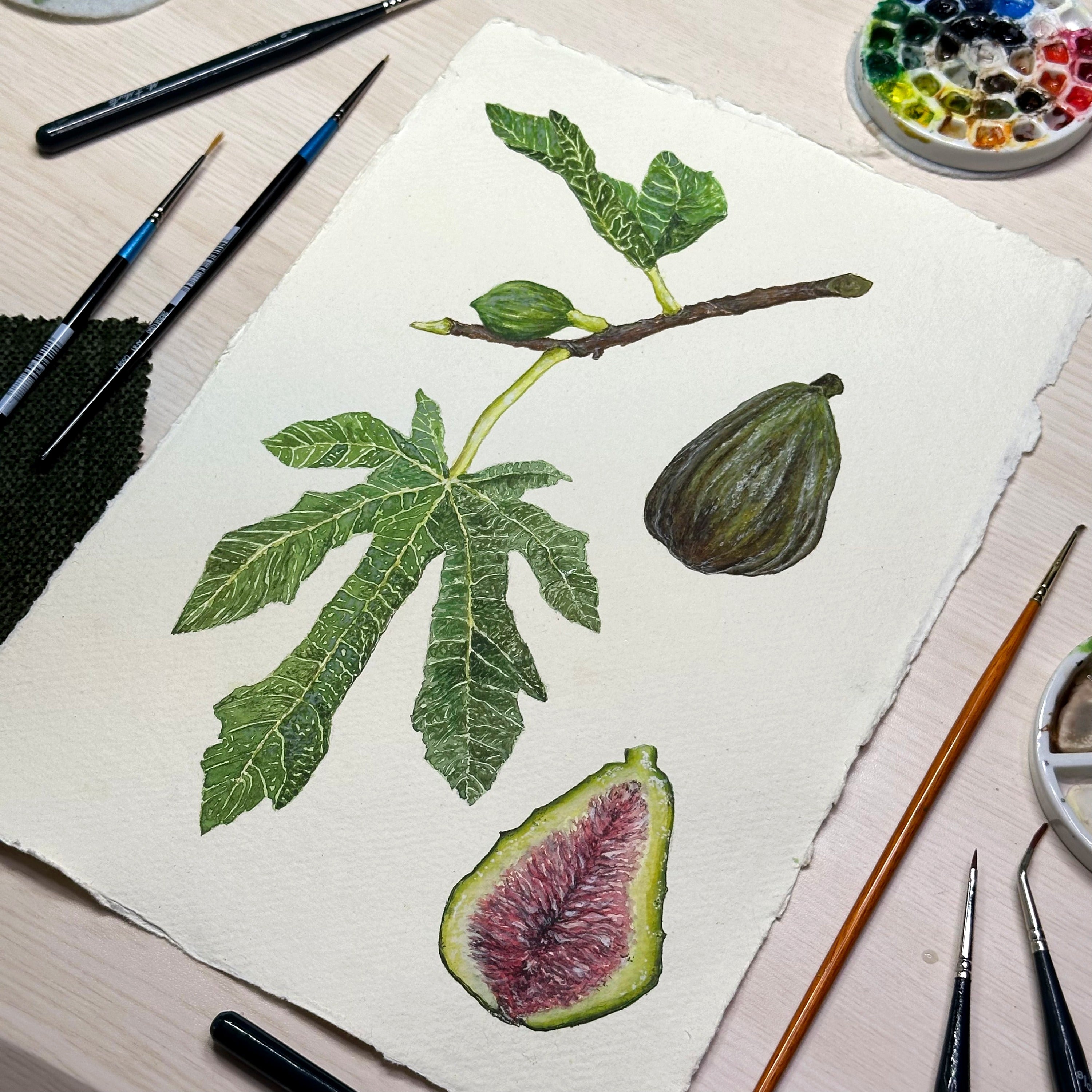 Botanical Painting Commission image 0