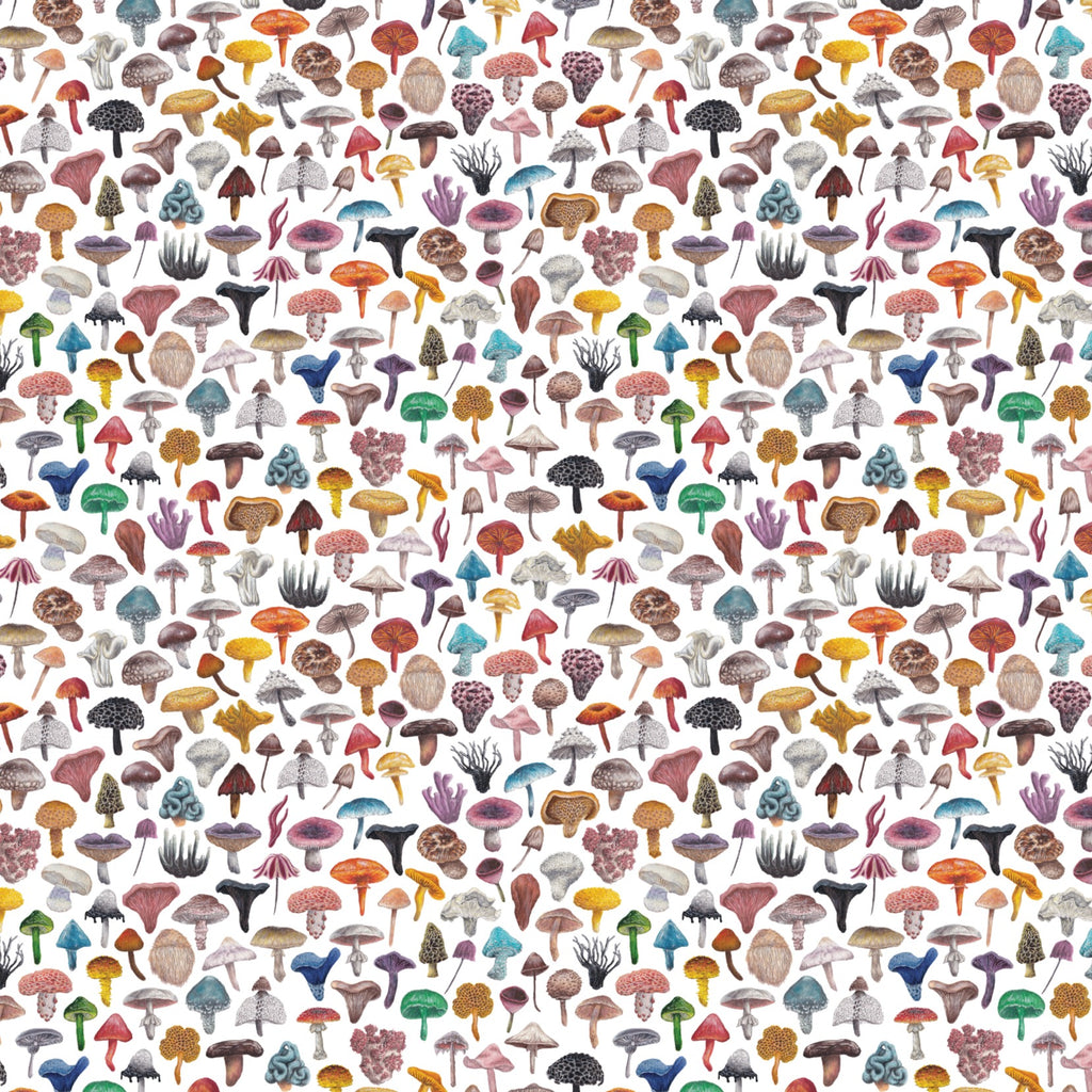 Mini Mushrooms Gift Wrap and Tag image 2