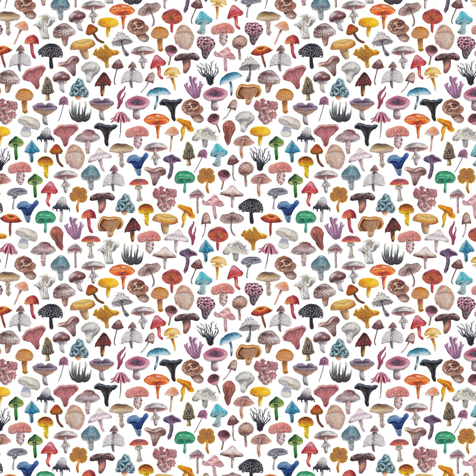 Mini Mushrooms Gift Wrap and Tag image 2