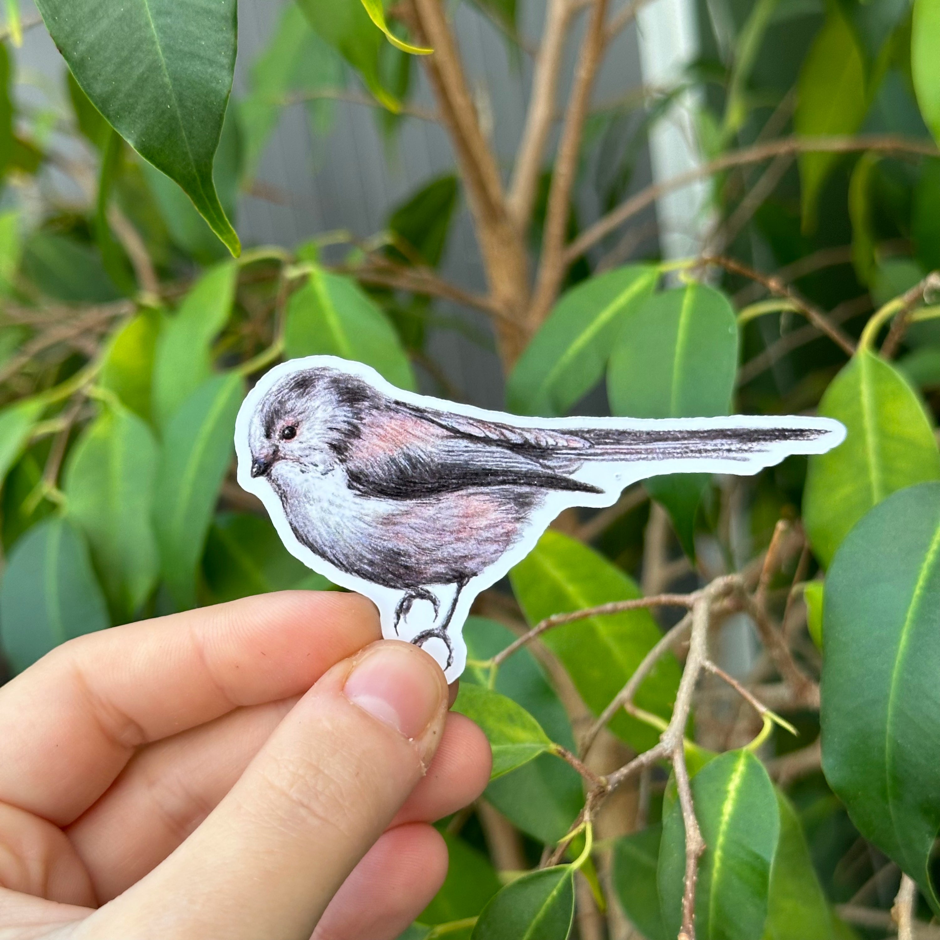 Bunch O' Tits Sticker Pack image 1