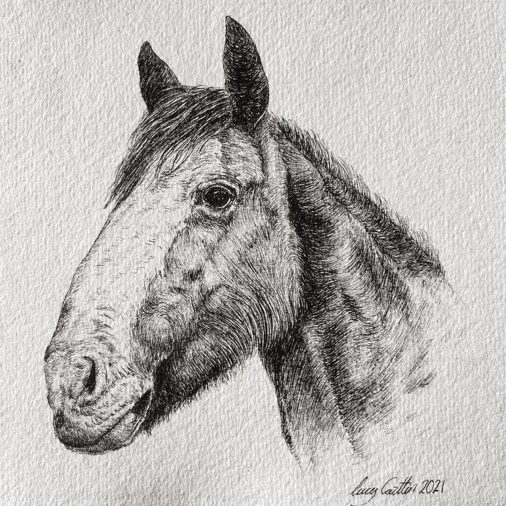 15cm Square Pet Portrait Commission image 2