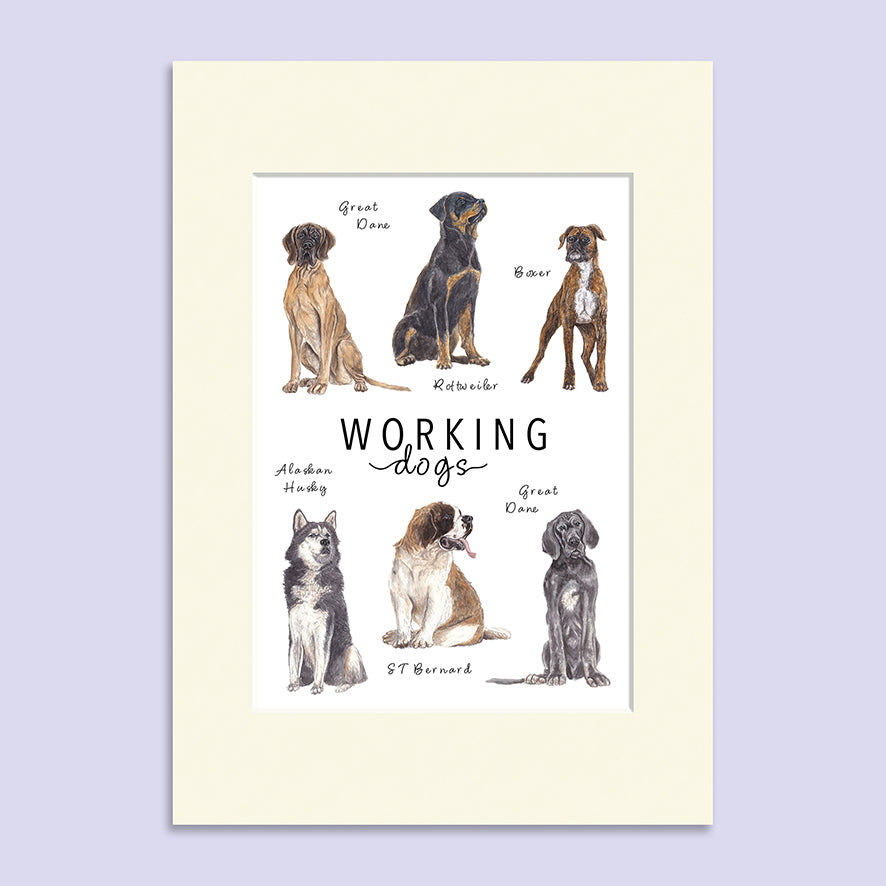 Working Dogs A5 Print image 1