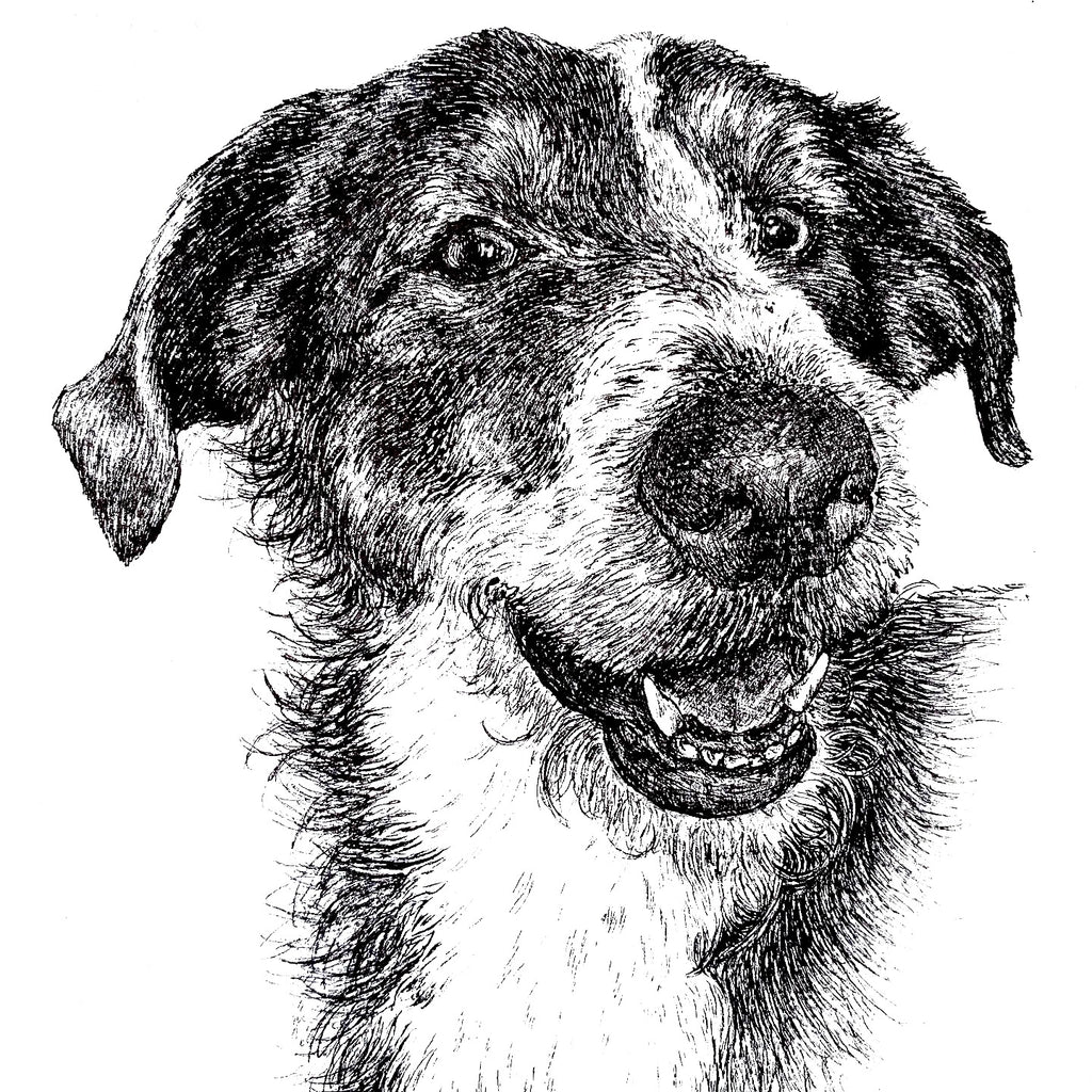 A5 Pet Portrait Commission image 6