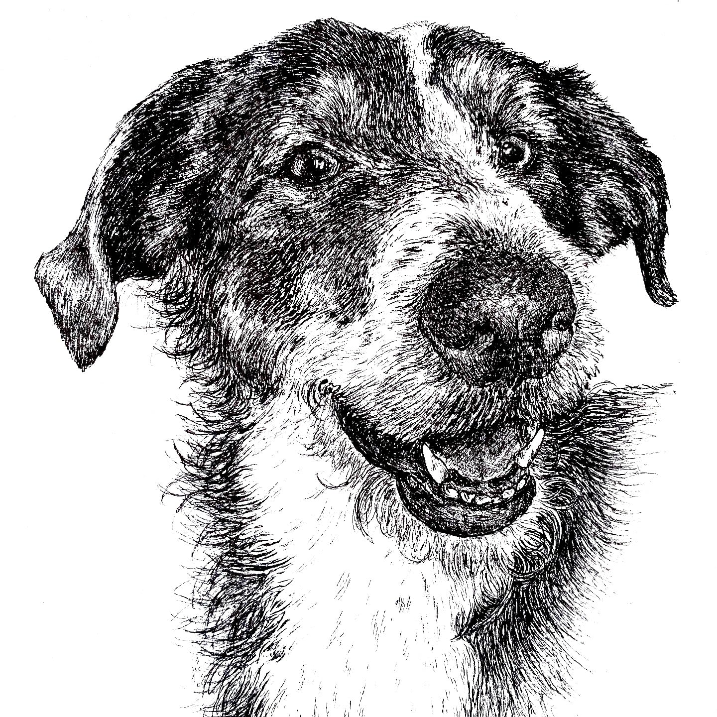 A5 Pet Portrait Commission image 6