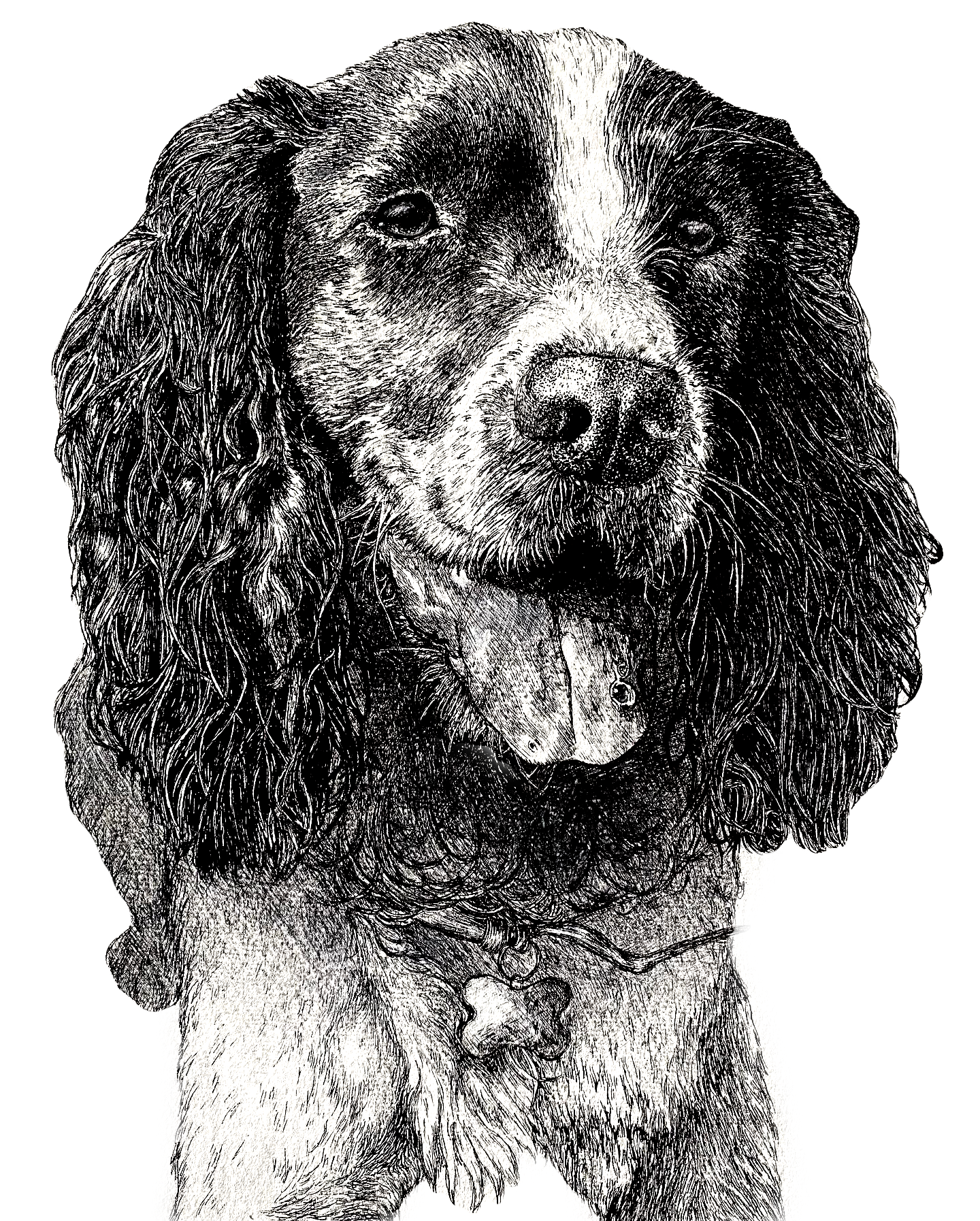 A3  Pet Portrait Commission image 5