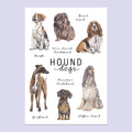 Hound Dogs A5 Print image 0
