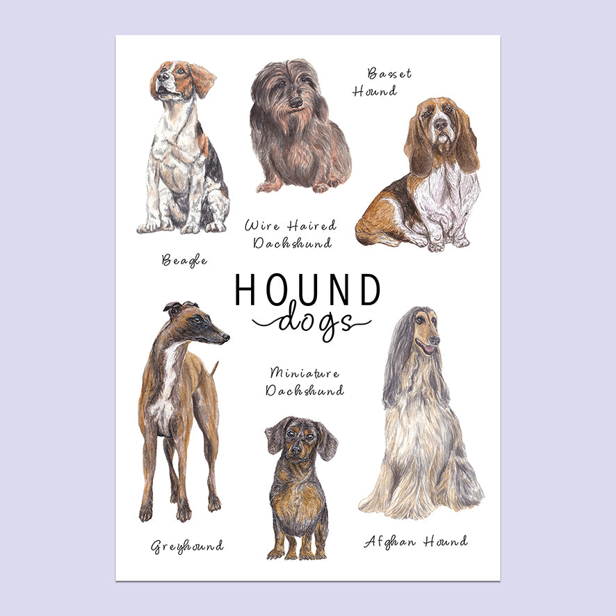 Hound Dogs A5 Print image 0