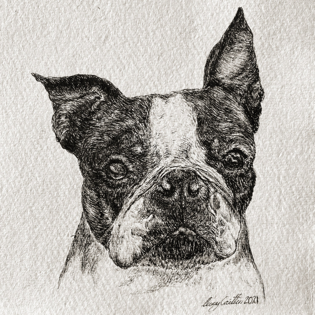 15cm Square Pet Portrait Commission image 9