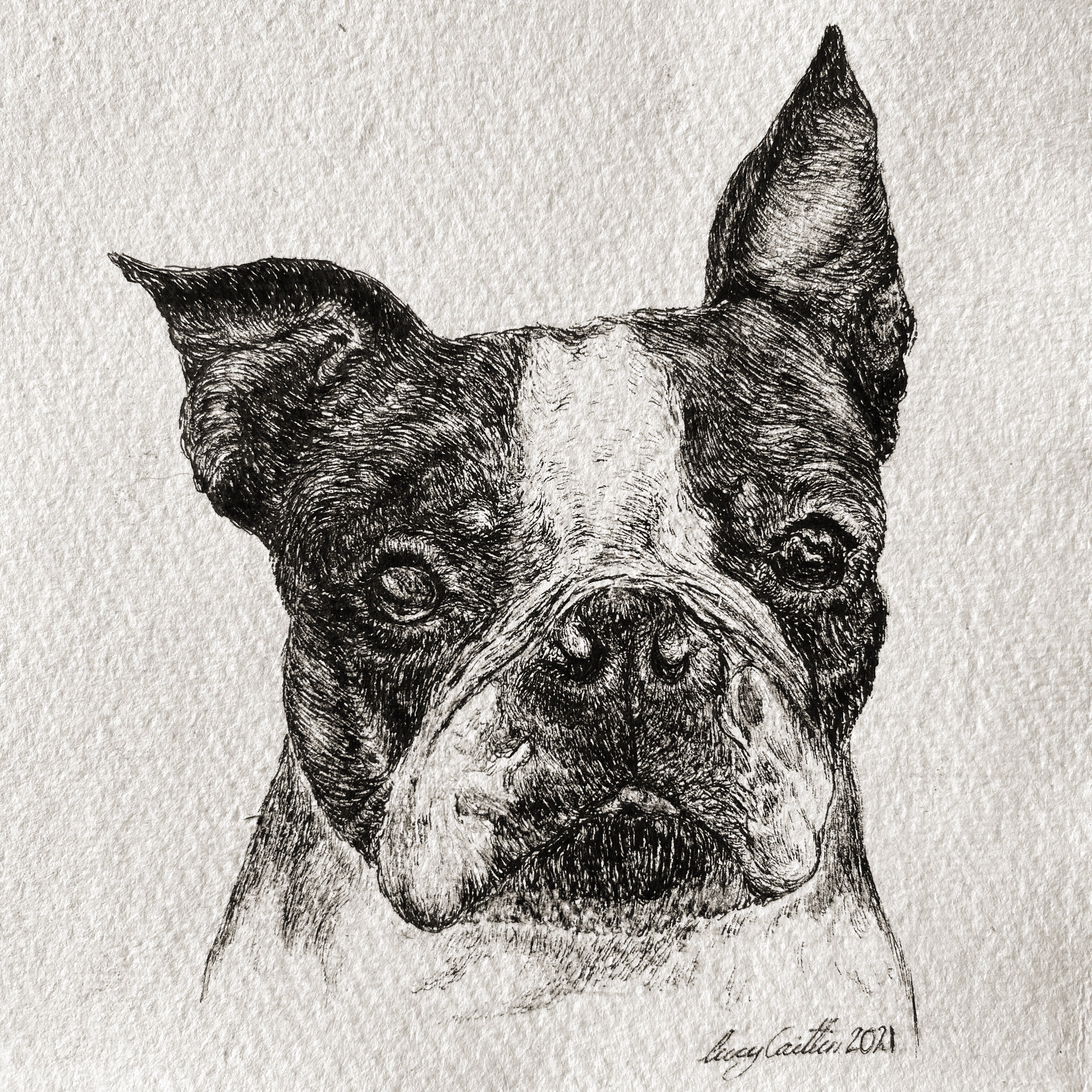 15cm Square Pet Portrait Commission image 9