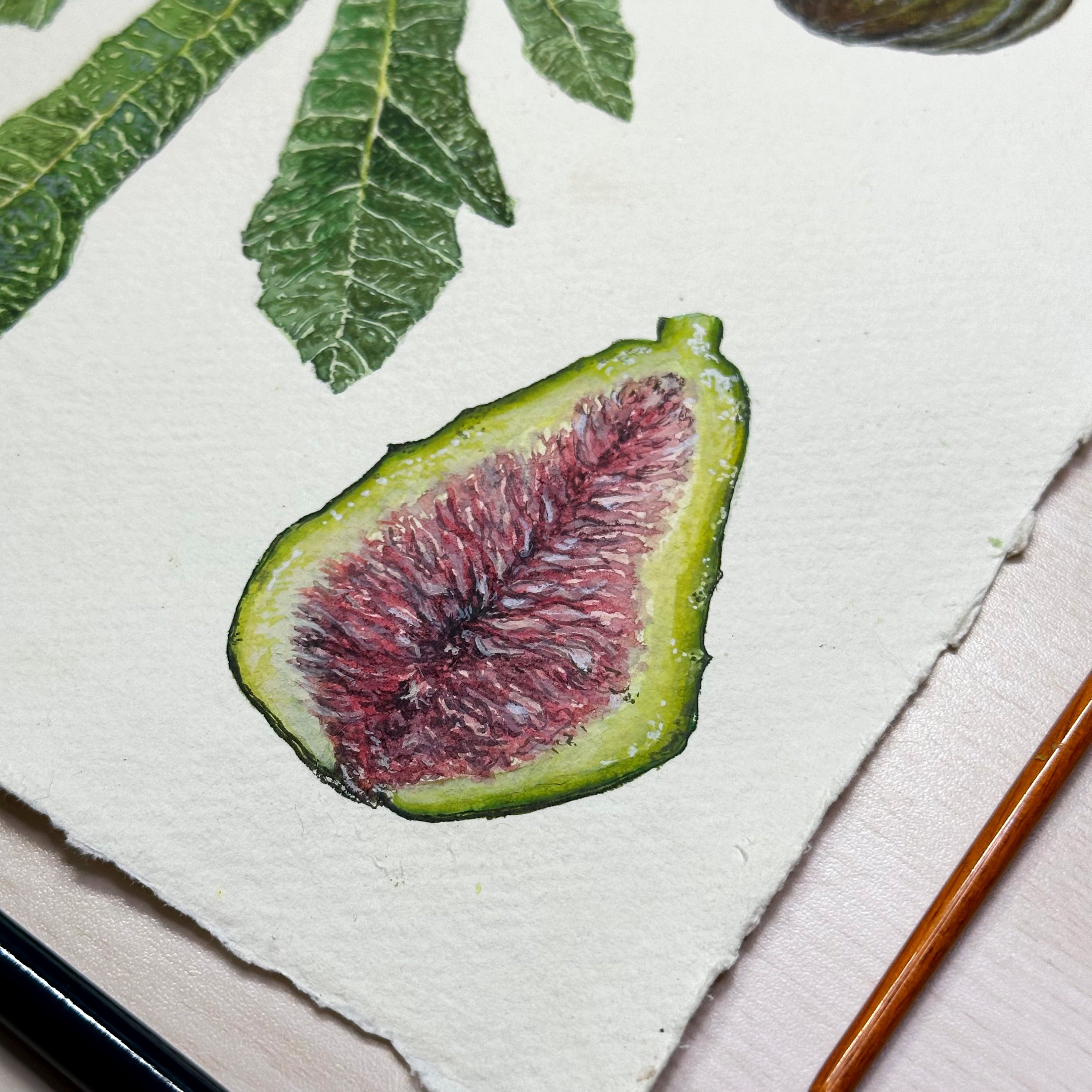 Botanical Painting Commission image 7