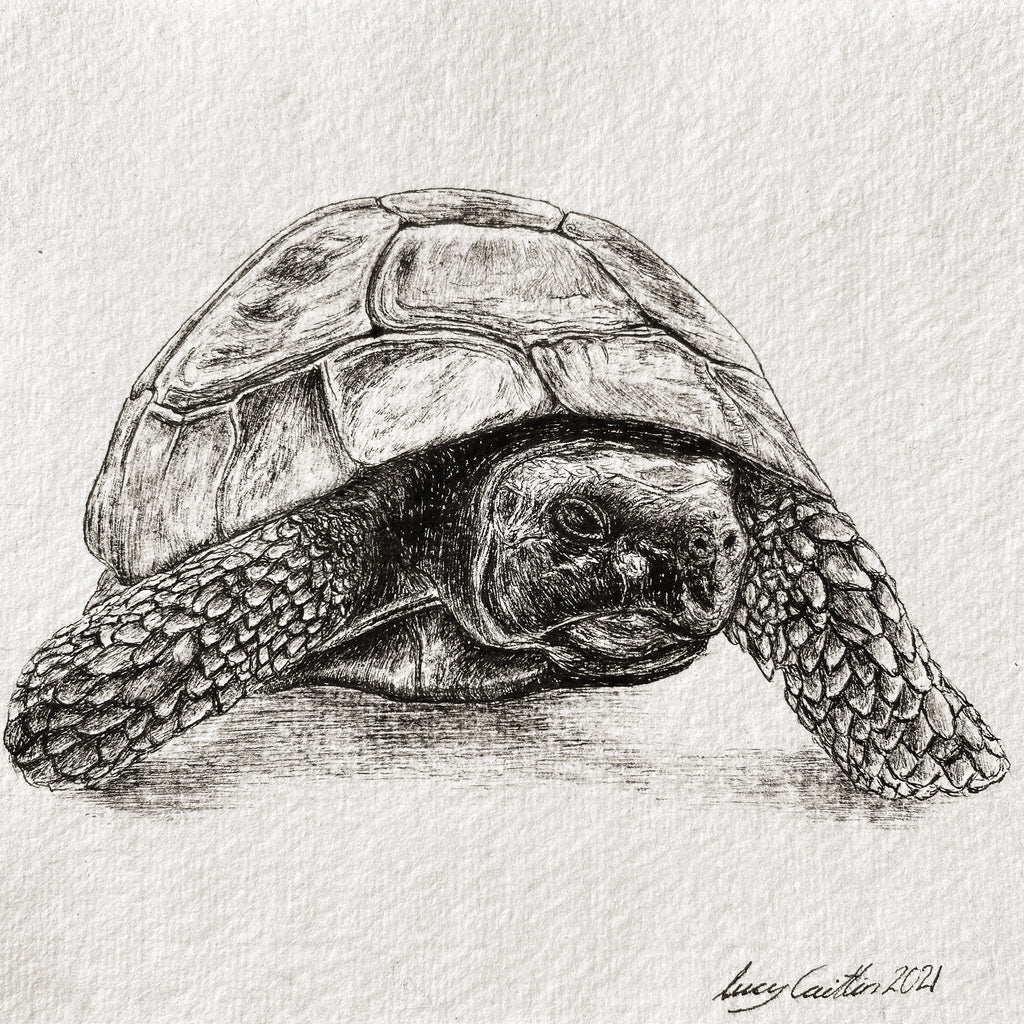 15cm Square Pet Portrait Commission image 6