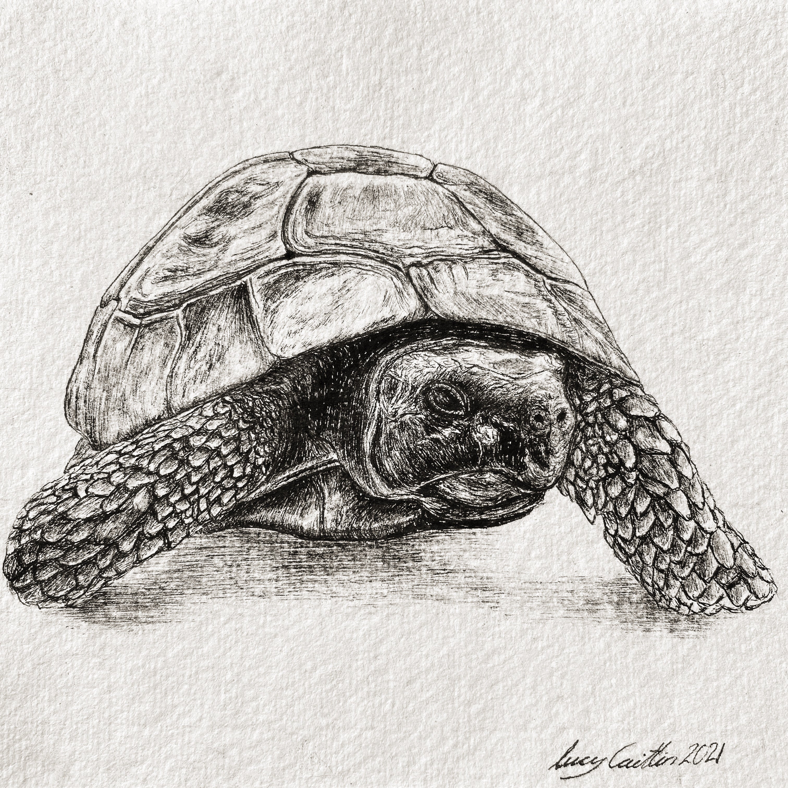 15cm Square Pet Portrait Commission image 6