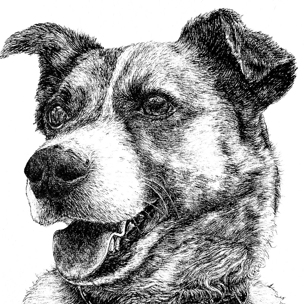 A5 Pet Portrait Commission image 7