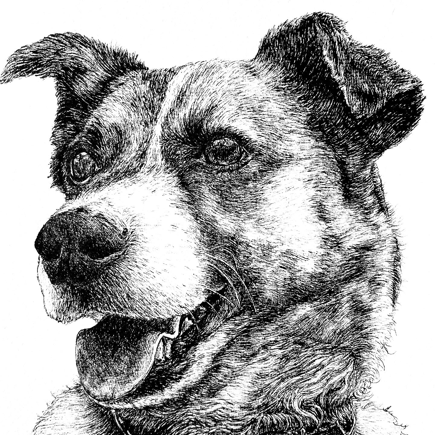 A5 Pet Portrait Commission image 7