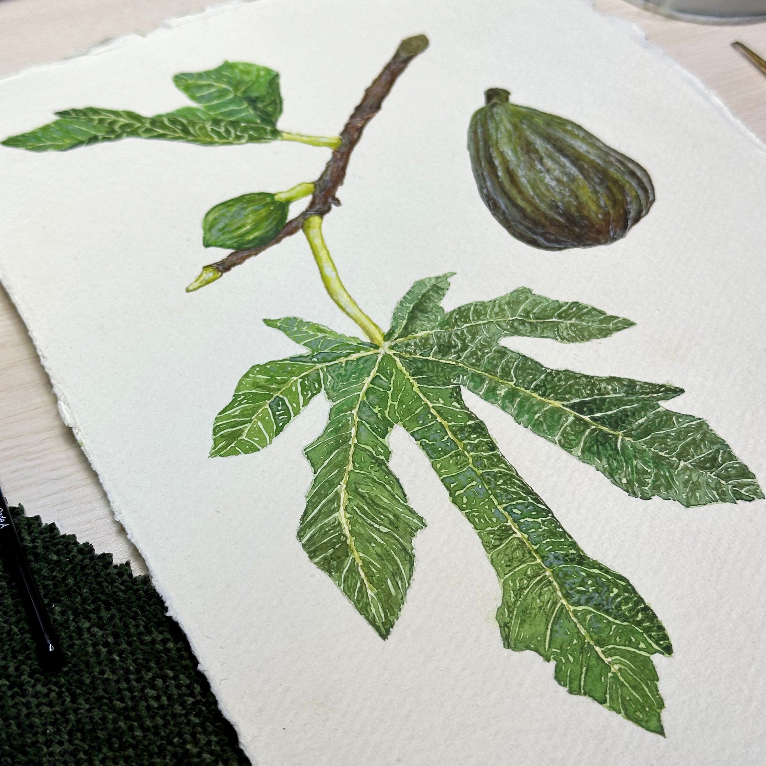 Botanical Painting Commission image 4