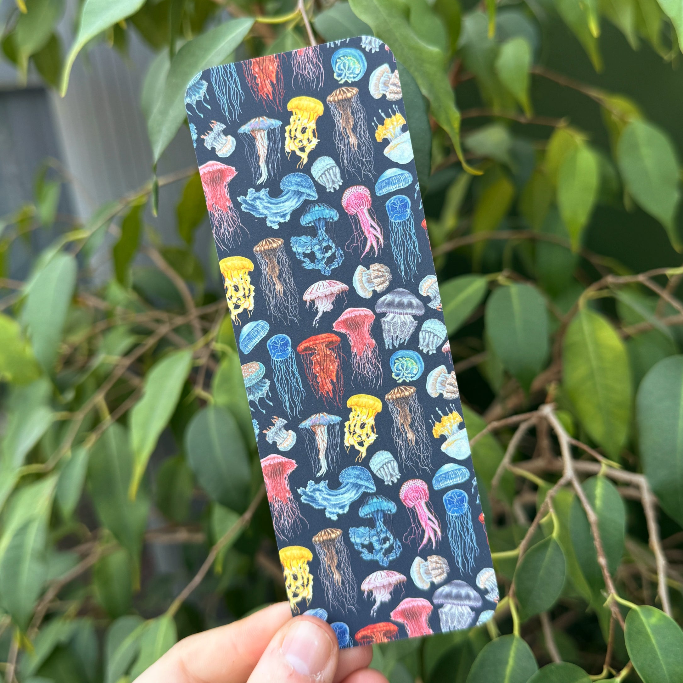 Jellyfish Bundle image 4