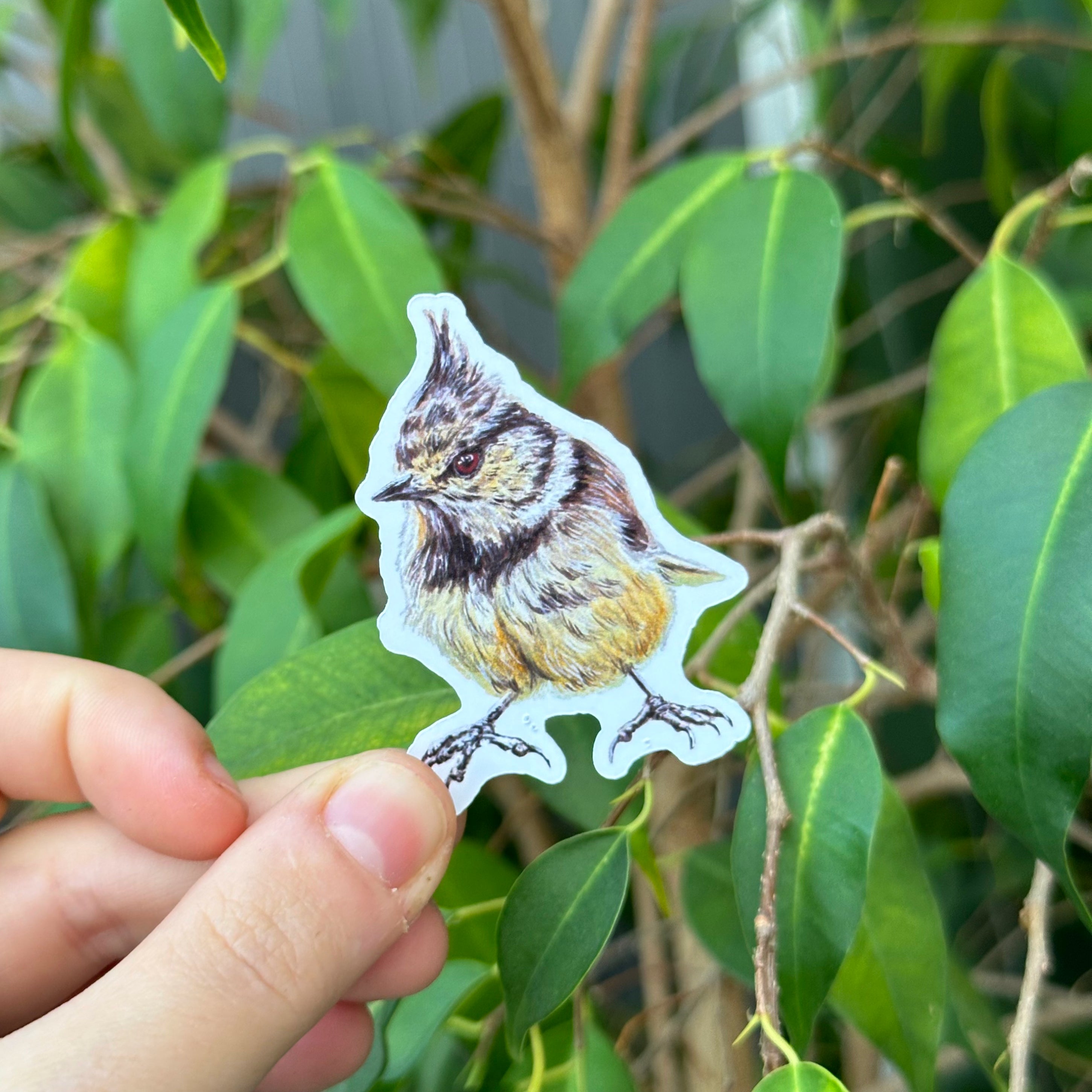 Bunch O' Tits Sticker Pack image 2